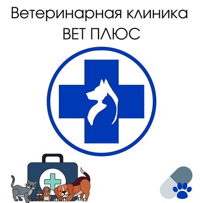 Ветеринарная клиника ВЕТ ПЛЮС в Алматы. - main